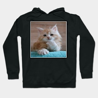 What Happened cat Hoodie